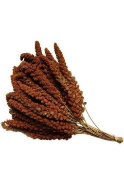 Mamaist Kızıl Daldarı Birinci Sınıf 500 Gr 
