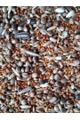 Mamaist Forpus Papağanı Özel Karışım Yemi 500 GR (Bölünmüş)