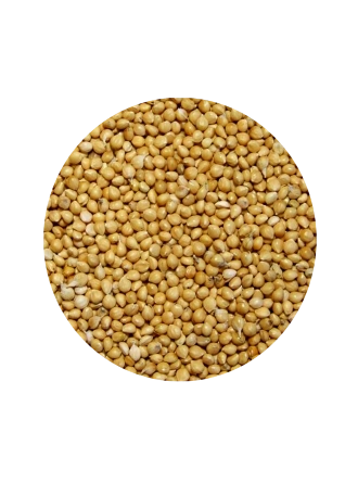 Vivid Sarı Darı 1 KG (Bölünmüş)