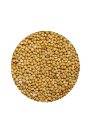 Vivid Sarı Darı 1 KG (Bölünmüş)