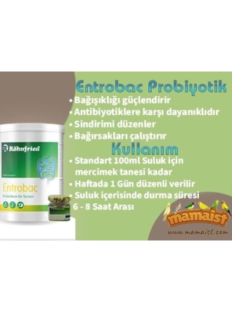 Röhnfried Entrobac Probiyotik Katkısı 15 GR (Bölünmüş)
