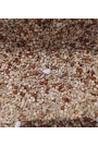Mamaist Lüks Karışım Muhabbet Kuşu Yemi 1 KG