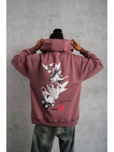 Erkek Şapkalı Güvercin Baskılı Kapşonlu Sweat - Gül Kurusu