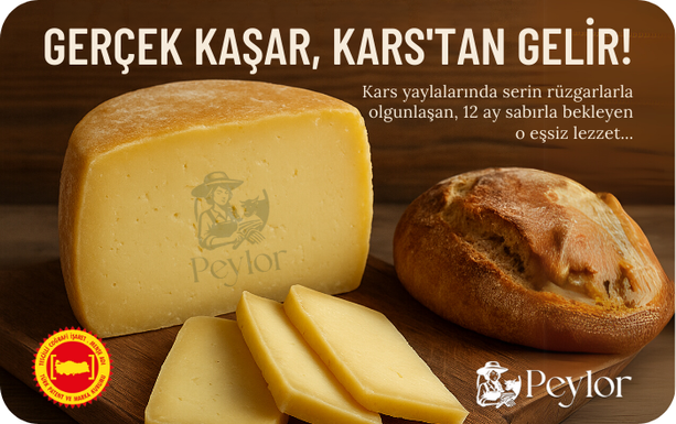 Tasarım 3'lü