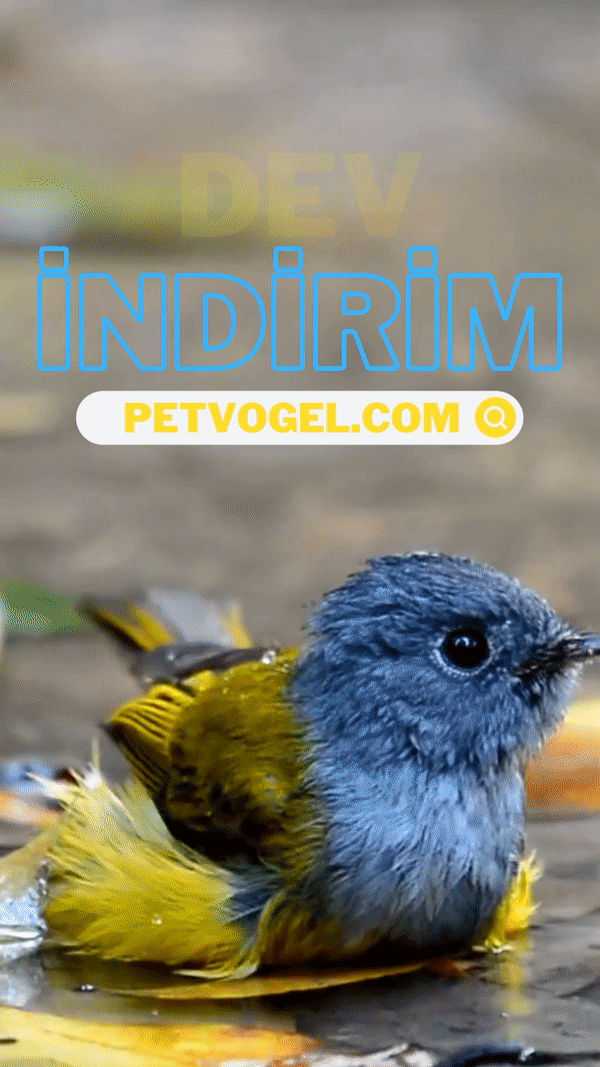 Reklam Banner