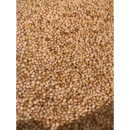 Ak Darı (Beyaz Darı) Sade Muhabbet Kuşu Yemi 5 Kg