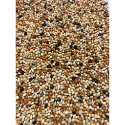 Hobi Karışık Muhabbet Kuşu Yemi 20 Kg Zengin İçerik