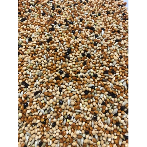 Hobi Karışık Muhabbet Kuşu Yemi 20 Kg Zengin İçerik
