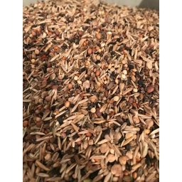 Duvo İthal Sağlık Tohumu & Yabani Tohum 1 Kg