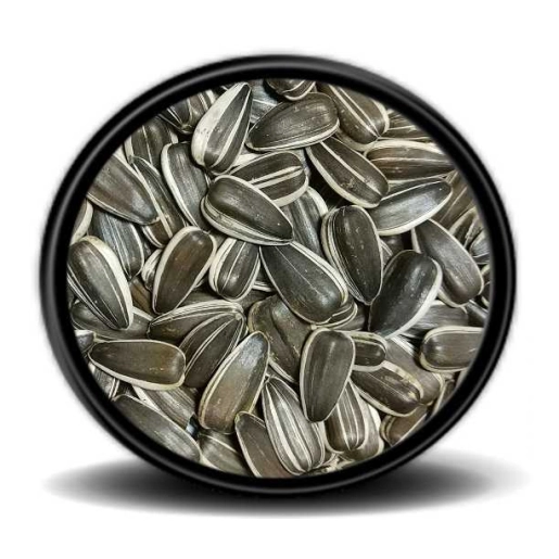 Dakota Çekirdek 500 G Papağan Yemi