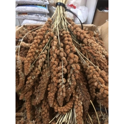 15 KG KIZIL DALDARI