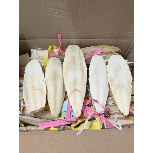 1 ADET BÜYÜK BOY KALAMAR KEMİĞİ 