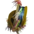 SIRTI TAKIMI-10 LU ORTABOY-AHTOPOT-80MM-MİSİNE 100MT-KOL-70CM