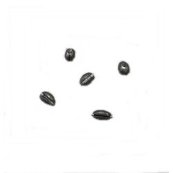 ZEYTİN KRŞN 0,5GR YARMA-1 PAKET İÇİNDE 25 ADET