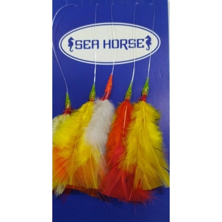 SEA HORSE 5,Lİ ÇAPARİ RENKLİ TÜY