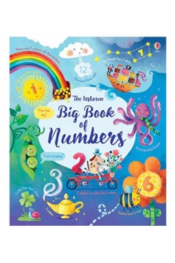 Big Book Of Numbers