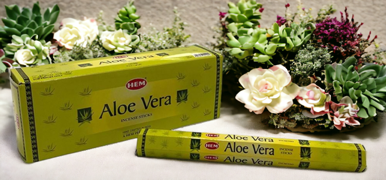 Hem Aloe Vera (Hx) Tütsü: Sağlıklı ve Ferahlatıcı - Aloe Vera Tütsüsü