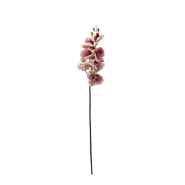 Yapay Orkide Dalı Gerçek Dokunuş Mor Beyaz 90 cm