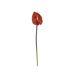 Yapay Antoryum Çiçeği Canlı Dokunuş Kahverengi 40 cm