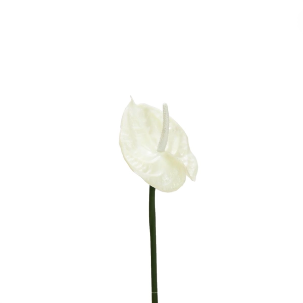 Yapay Antoryum Çiçeği Canlı Dokunuş Beyaz 40 cm