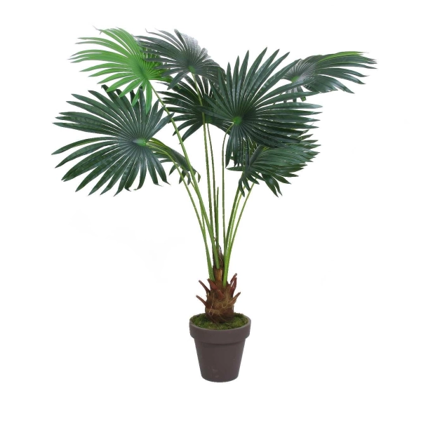 Yapay Fan Palmiye Ağacı 170 cm