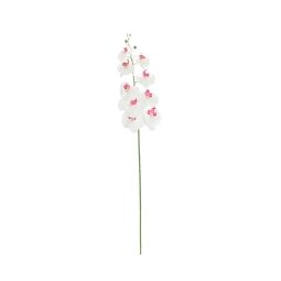 Yapay Orkide Dalı Fuşya Beyaz 100 cm