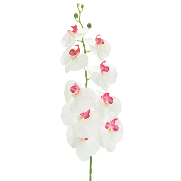 Yapay Orkide Dalı Fuşya Beyaz 100 cm