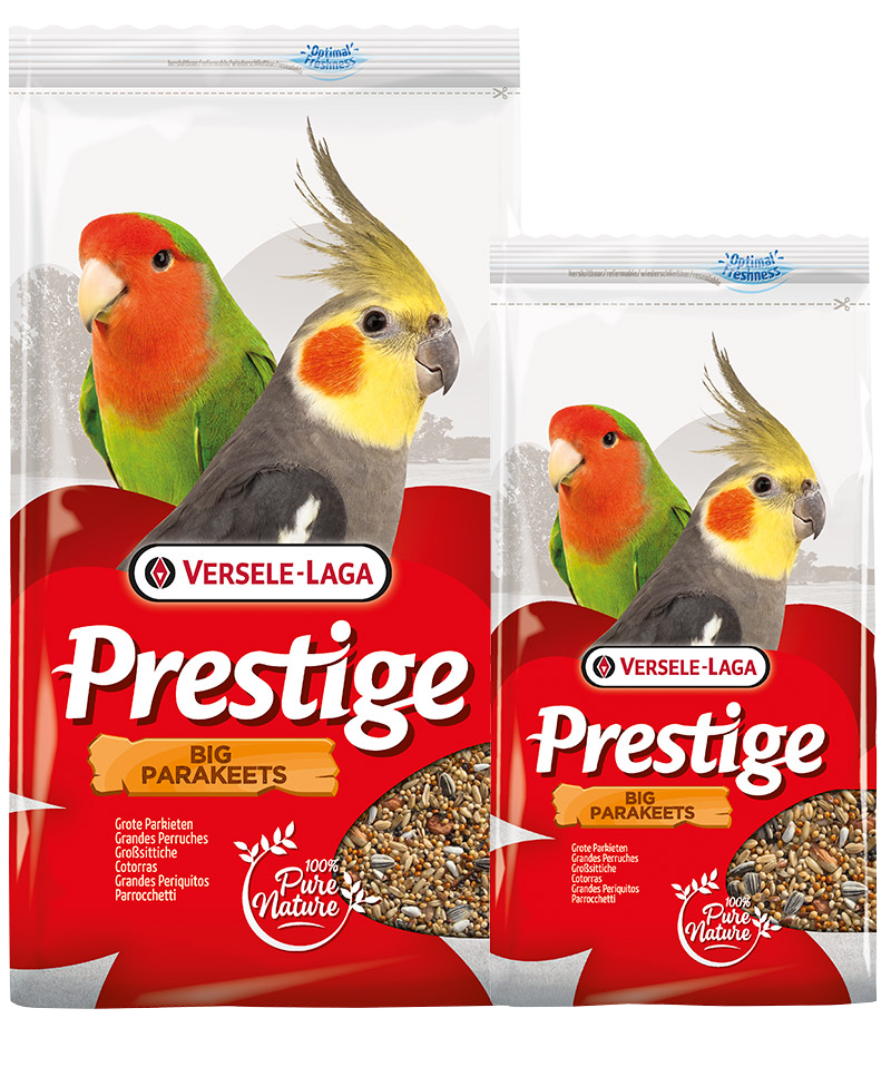 Versele laga Big paraket tam inceleme 