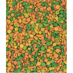 Versele laga P15 Meyveli 1 kg  (Renkli)