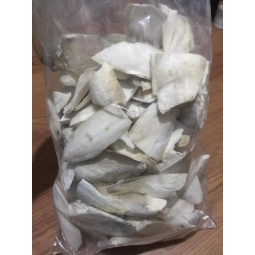 Kalamar Kırık parcalar(Büyük) 100g