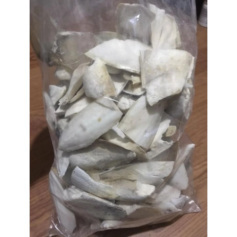 Kalamar Kırık parcalar(Büyük) 100g