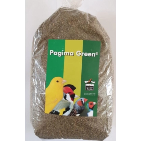 750 gr Pagima Green Sindirim Sistemi Düzenleyici Özel Çim Tohumu