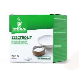 20x12 gr Natural Elektrolit Glucose Enerji Takviyesi paket