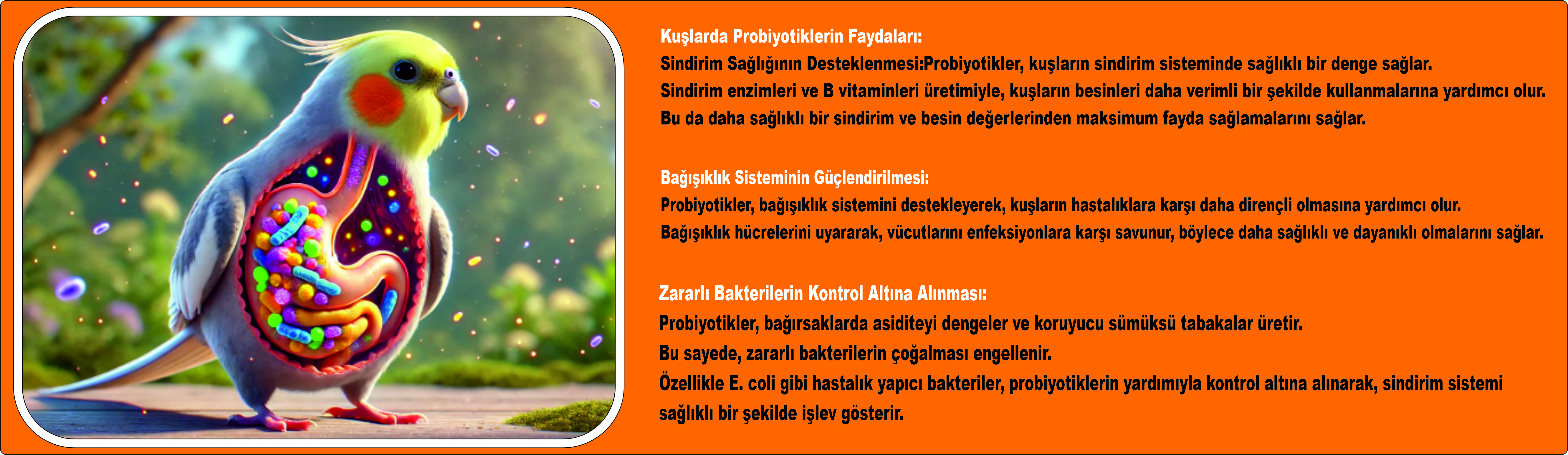 Değerli Bilgiler
