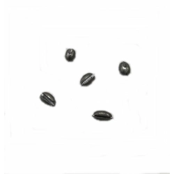 ZEYTİN KISD KRŞN 1,5GR 1 PAKET 20 ADET