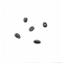 ZEYTİN KISD KRŞN 1,5GR 1 PAKET 20 ADET