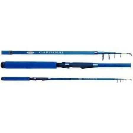 EFFE CARDINAL TELE SPİN KAMIŞ  3,00 MT MAVİ KAPALI BOY 64 CM 40-80 GR
