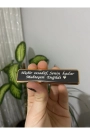 Istediğin Özel Yazıyı Yazdırabileceğin Kişiye Özel Usb Şarjlı Çakmak