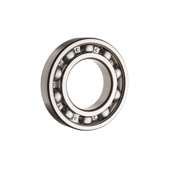 6015 SKF RULMAN