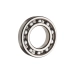 6015 SKF RULMAN