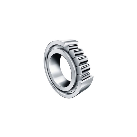 NJ.310 SKF RULMAN